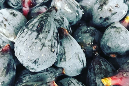 Zoé Bouillon Faubourg Saint Martin