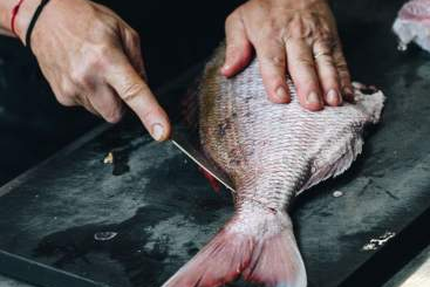 Restaurant Allium, Quimper