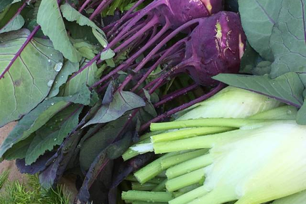 Chai L'amère Kolette
