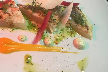 Chai L'amère Kolette