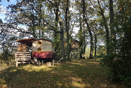 Restaurant des Cabanes d'Arbrakabane