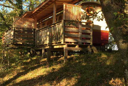 Restaurant des Cabanes d'Arbrakabane