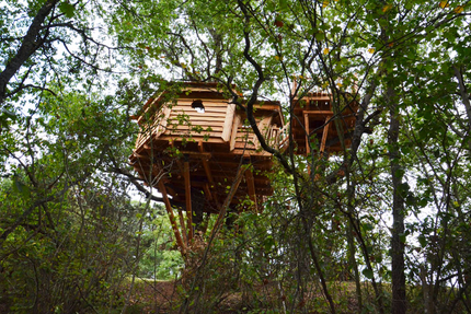 Restaurant des Cabanes d'Arbrakabane