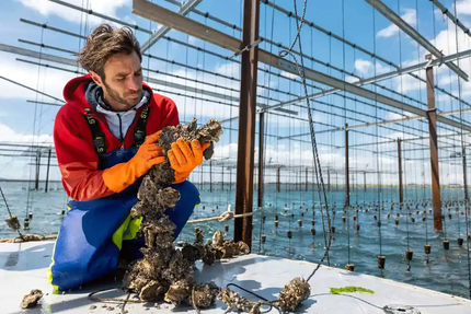 Le St Pierre Tarbouriech