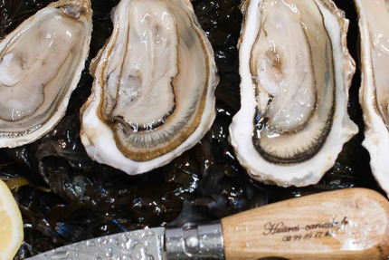 La cahute d’Eliane | huître cahue