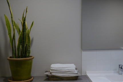 Traits d'Union brasserie pédagogique