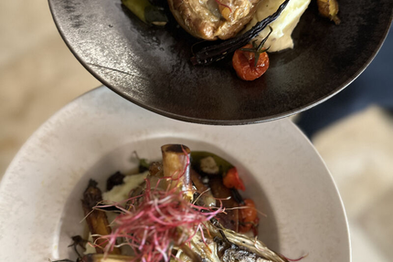 Les Terrasses d’Ansouis