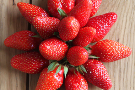 La Cantine Des Chefs