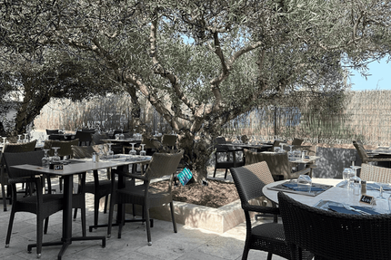 Le Clos des Oliviers, au Baïsses