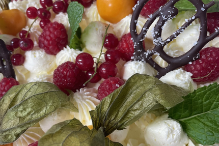 Les Terrasses du Cuchet - Vue Mont Blanc