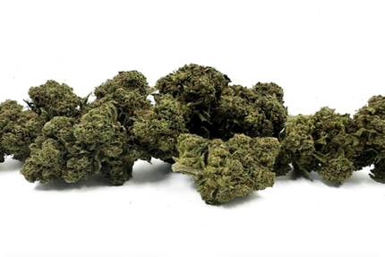 LaTiteCase CBD (Livraison à domicile)