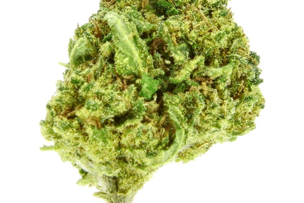 LaTiteCase CBD (Livraison à domicile)