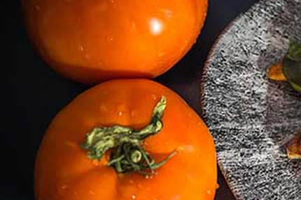 La Baraka - Restaurant de produits frais & locaux