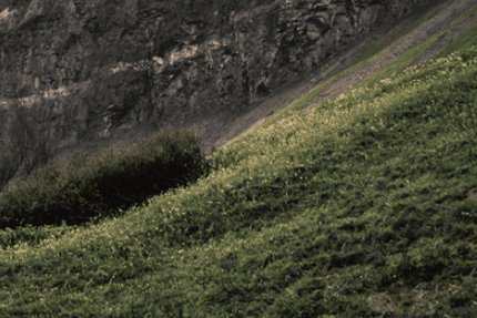 Arvi'Pâtes - Le restaurant