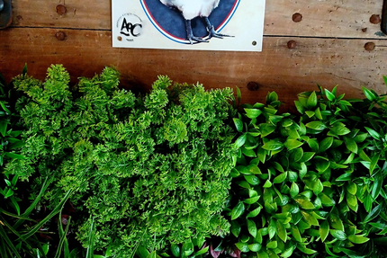 Hôtel Restaurant la Parenthèse