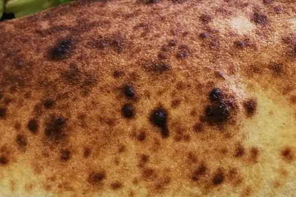 Les Gourmands Disent