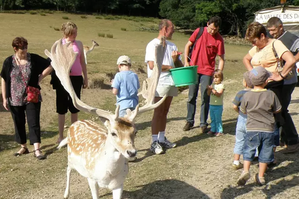 Auberge de la Normandie