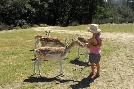 Auberge de la Normandie