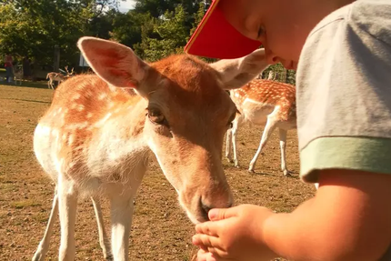 Auberge de la Normandie