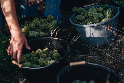 Le Bel Ami - Restaurant Etretat