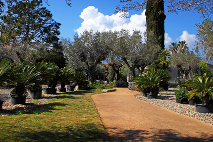 Restaurant Bleu Comme un Jardin