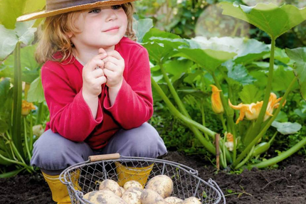 SHCB Cuisine Centrale