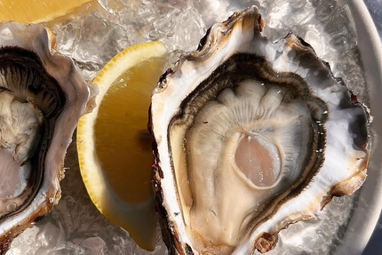 L'ître, repère iodé