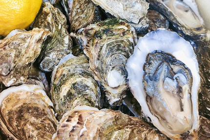 LE TOUT DU CRU - ILE DE RE