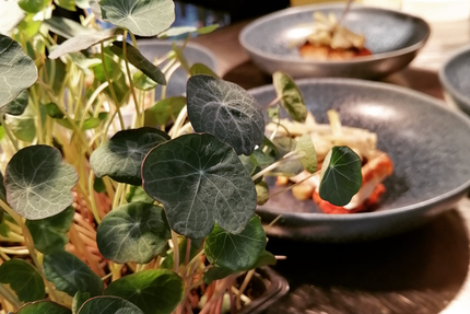Sens bistrot contemporain