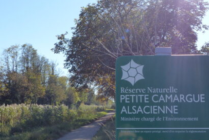 Le Petit Kembs, par Cécile et Lionel / restaurant gastronomique et chambres d'hôtes