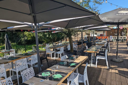 Le domaine des cygnes