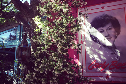 Les Demoiselles Dupuy