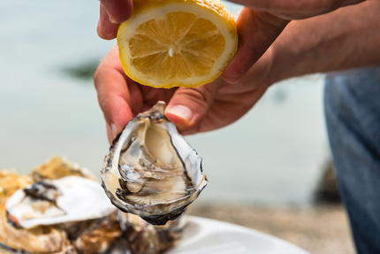 Les Demoiselles Dupuy