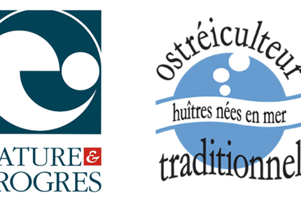 Les Demoiselles Dupuy