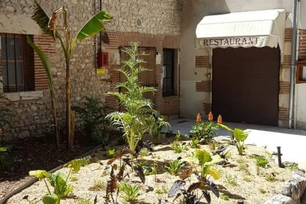 Le Délice des Saints