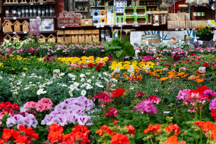 Le Café de Gally Feucherolles