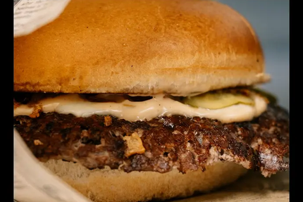 RoadHouse en Camargue