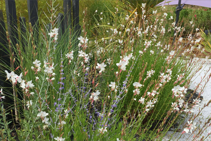 Restaurant L'Instant