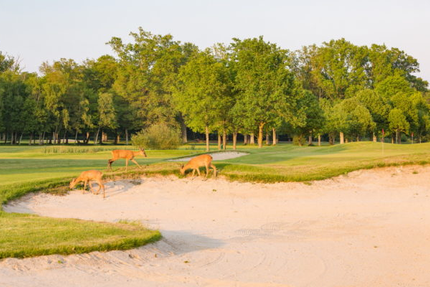 Restaurant du Golf des Yvelines