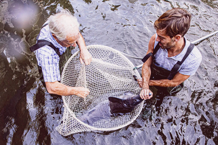 Maison Castillonne - Caviar & Délicatesses