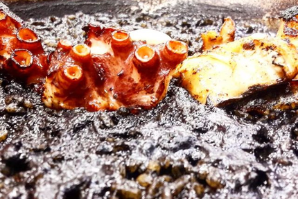 Le Coq et la Mule - Roanne