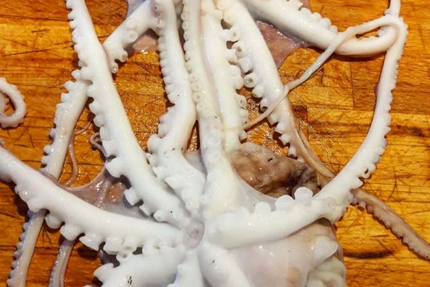 Le Coq et la Mule - Roanne