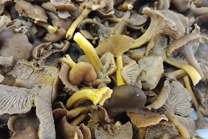 Restaurant Cave La Quincaillerie