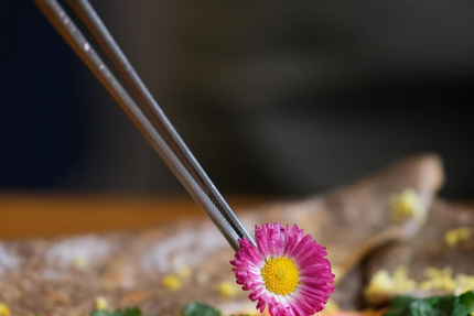 Des idées à la noix