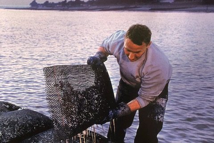 Les 1001 Dégustations