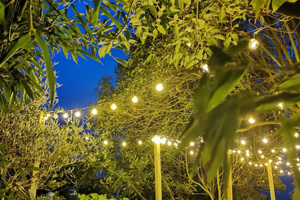 RESTAURANT PIZZERIA LA TERRASSE