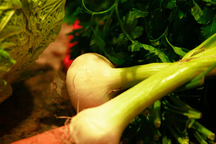 Aux Phils Des Saveurs