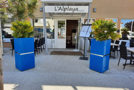 L'Alplaya