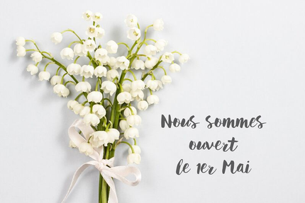 RESTAURANT NEM MEKONG