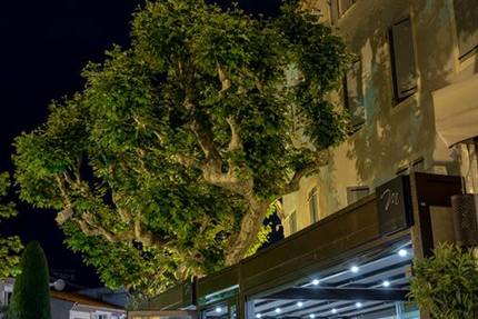 Brasserie de la Méditerranée